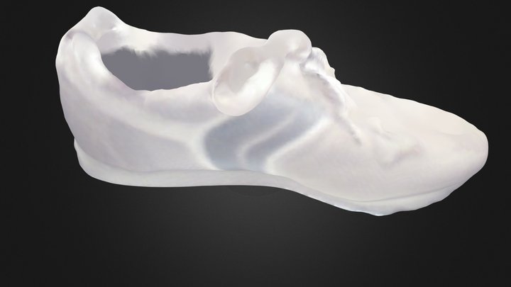 jsolerab_shoe01_skantec 3D Model