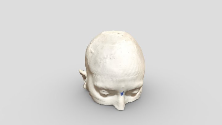 3d print head 3D Model