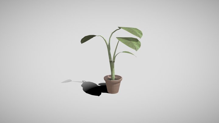 plant 3D Model