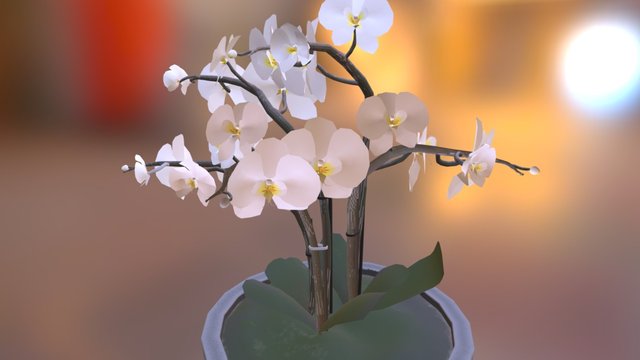Potted Orchid 3D Model