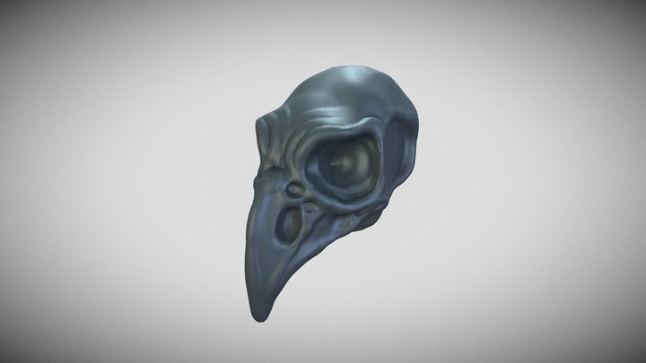 Bird Skull 3D Model