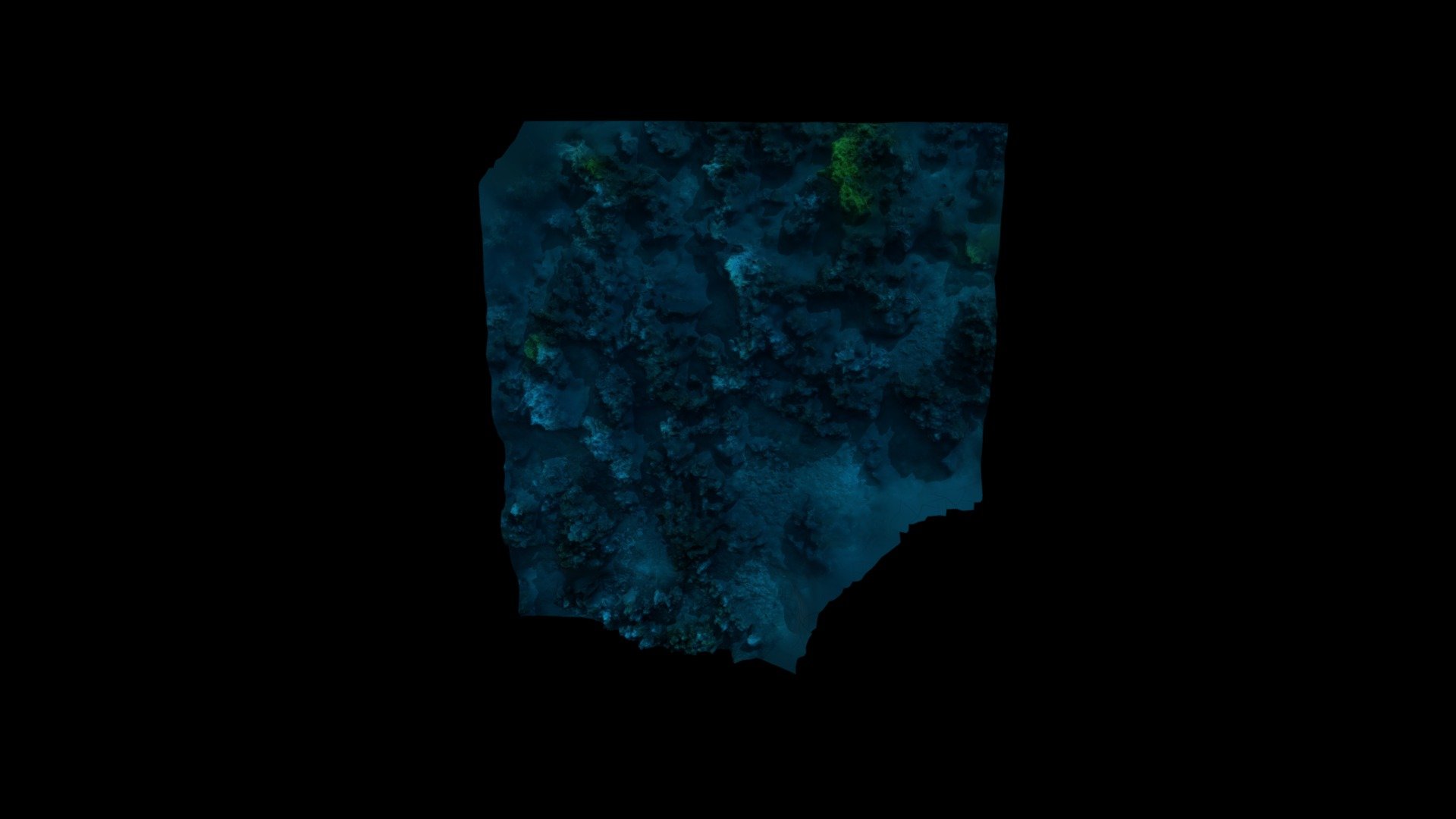 Tubeworm beds