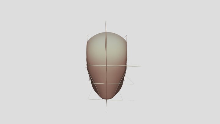 loomis head 3D Model