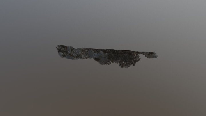 21 3D Model