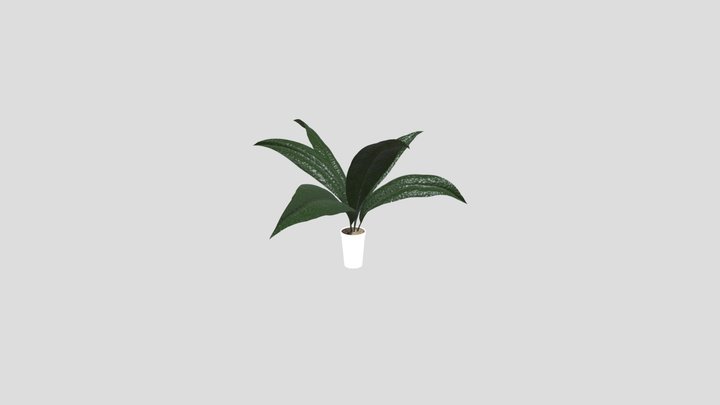 House Plant – Modèle 3D gratuit STL