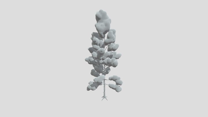 Pine Toon Tree