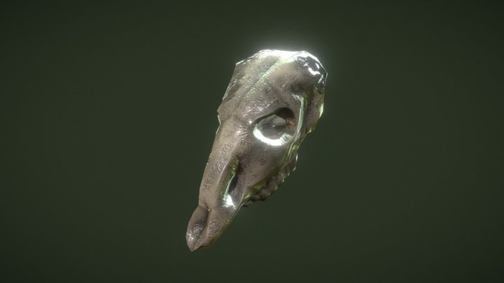 Skull_Cerf 3D Model