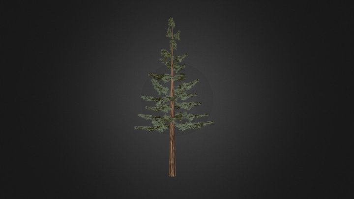 Pine Tree 3D Model