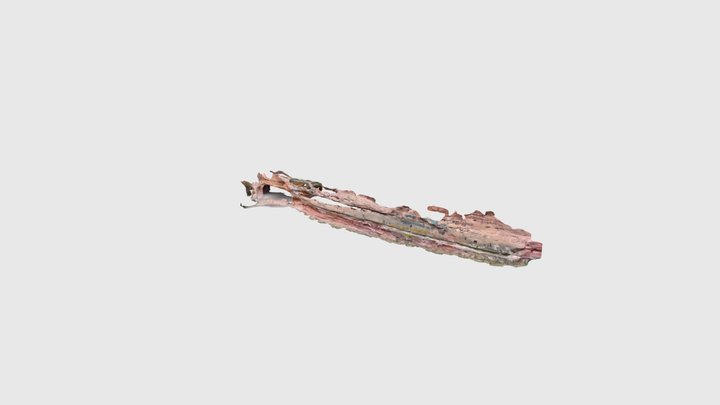 Falkenstein, honeycomb weathering – Free 3D Model STL