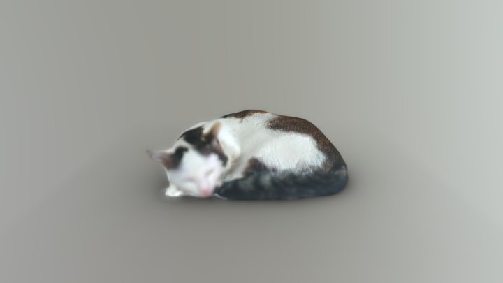 &%&……%&……* 3D Model