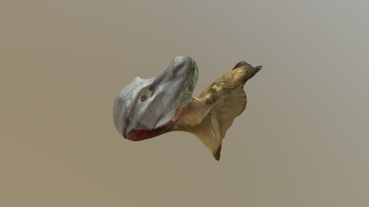 Dragon mask 3D Model