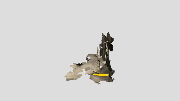 Polycam capture 3D Model