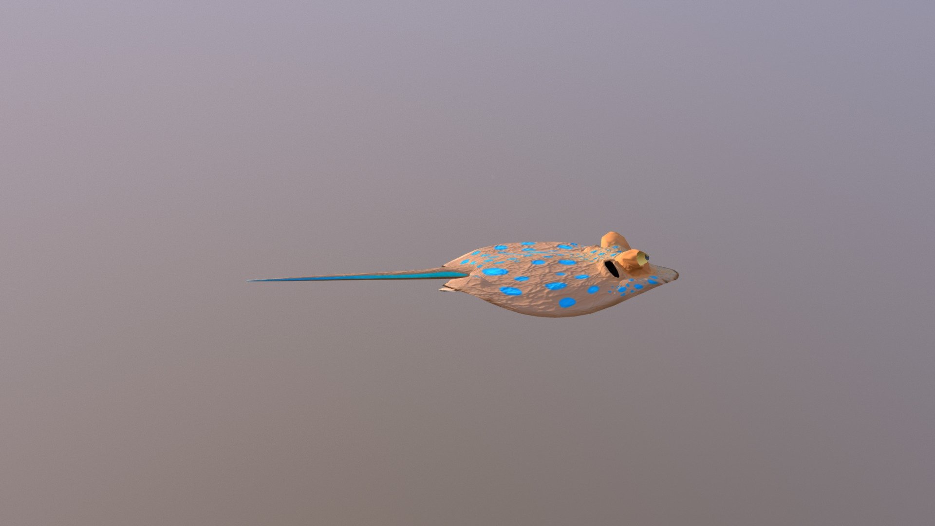 Animated cartoon stingray - 3D model by ianxyz [6698d47] - Sketchfab