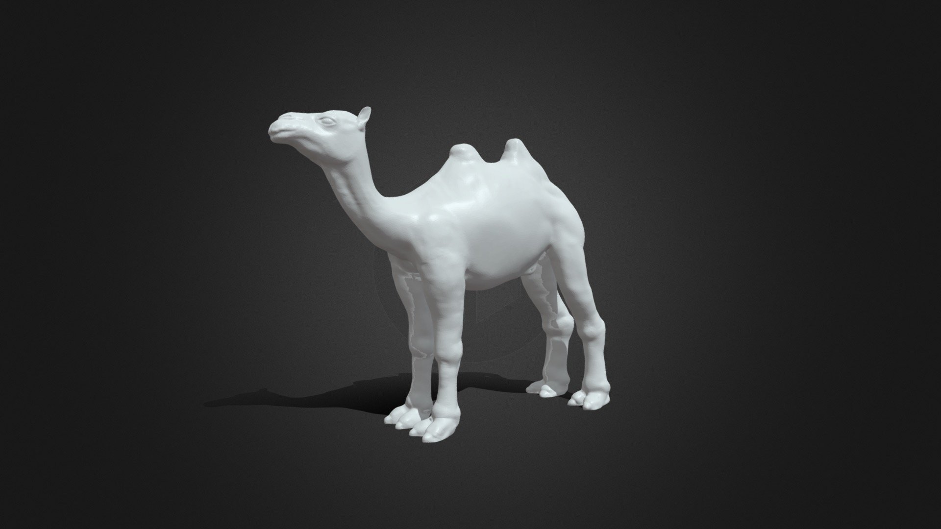 Camel 3d printing model