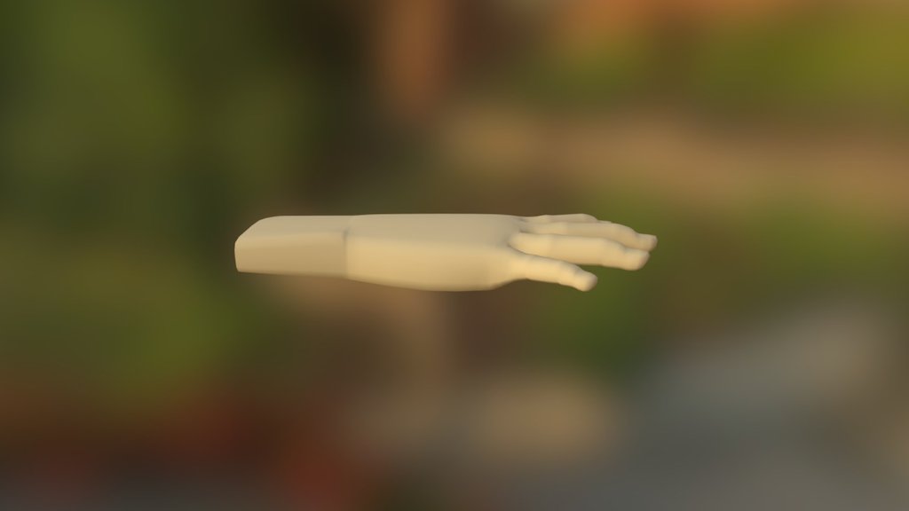 3D Hand Model