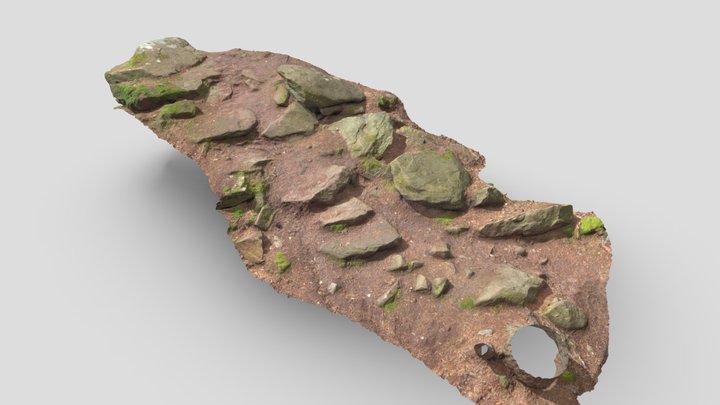 Rocks Stone Forest Steps Scan 3D Model
