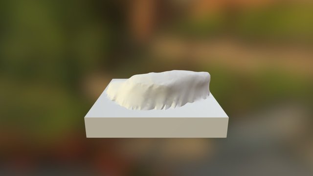 orelha 3D Model