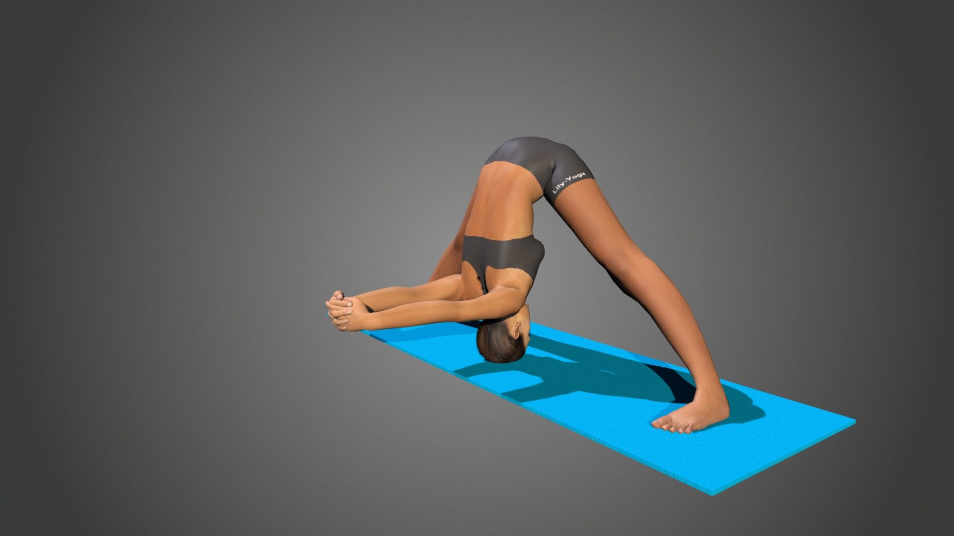 Yoga Pose Prasarita Padottanasana Arms Extended