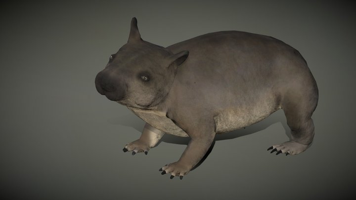 NEW WOMBAT RIG12 Nolights 3D Model
