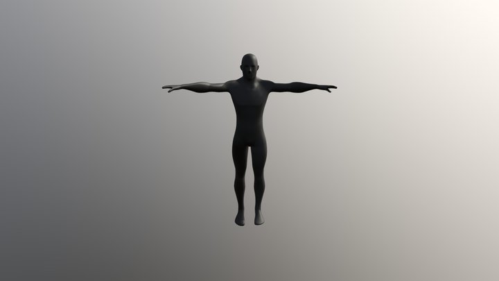 Rig Cuerpo Humano 3D Model