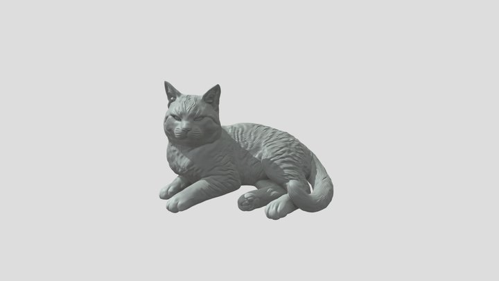 Domestic Cat 3d Model 3D Model
