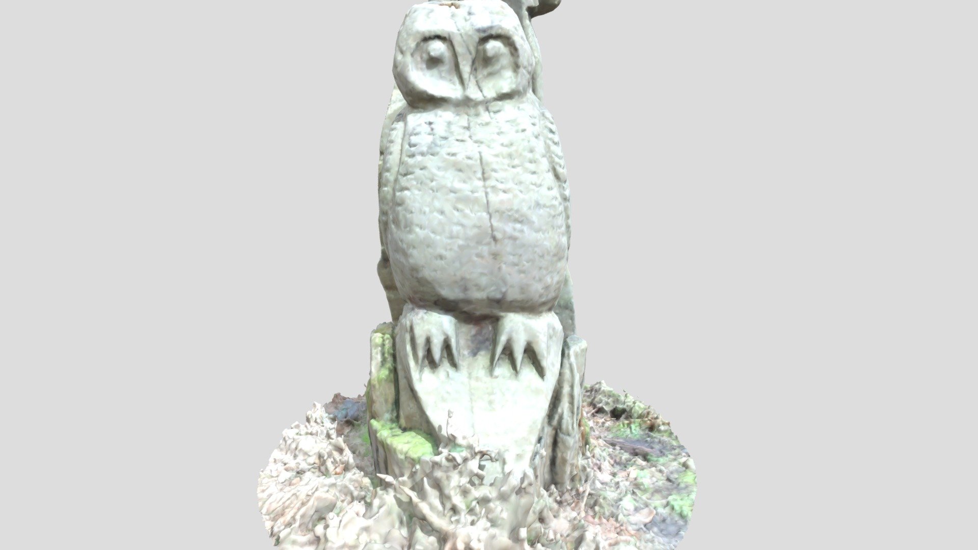 Owl