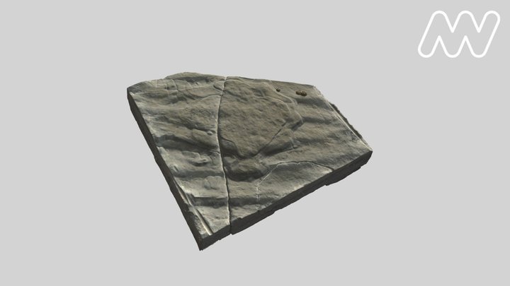P208232.2 Ichnite 3D Model