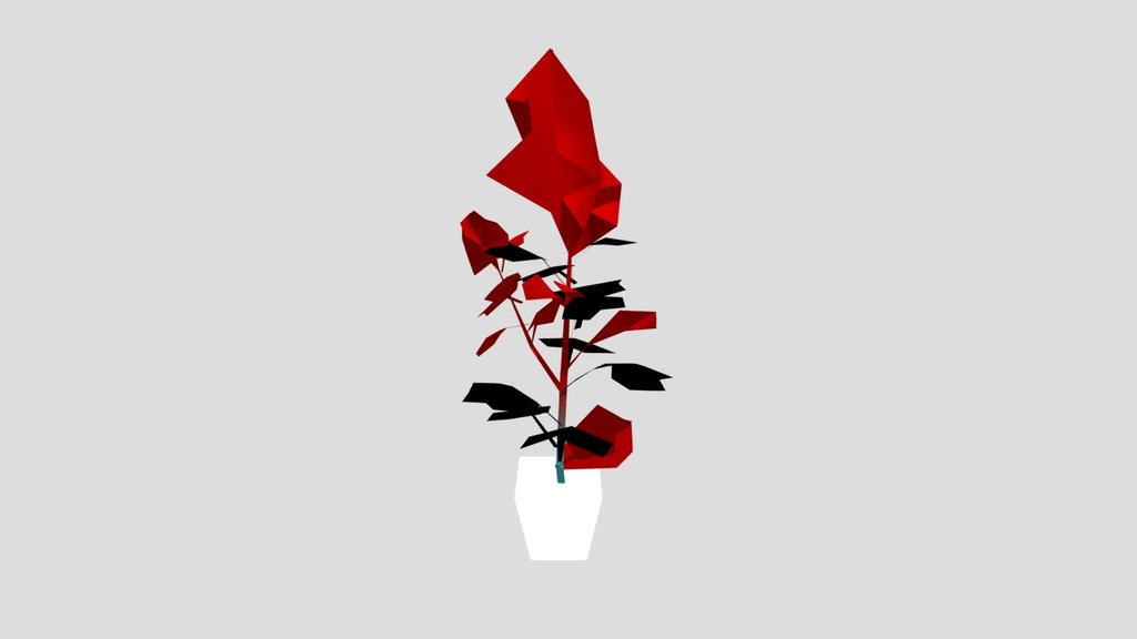 Plant Larkspur Med Pot