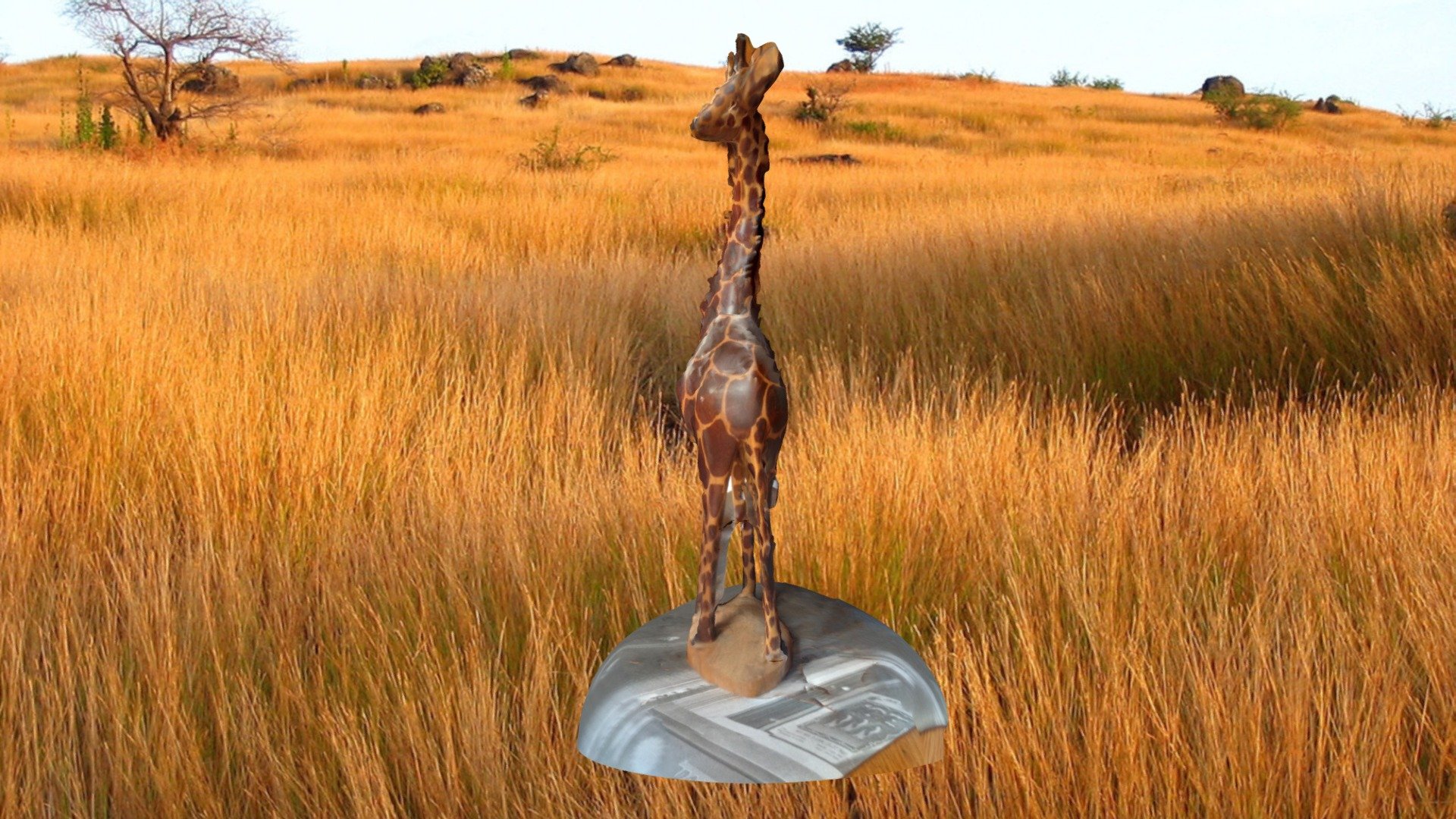Giraffe #3DST9