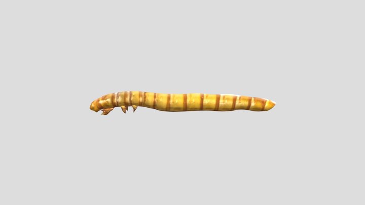 Mealworm (Not animated 3D Model