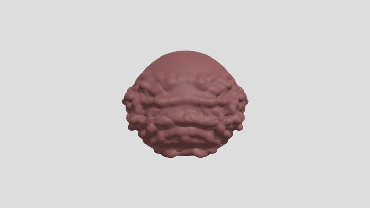 the brain 3D Model