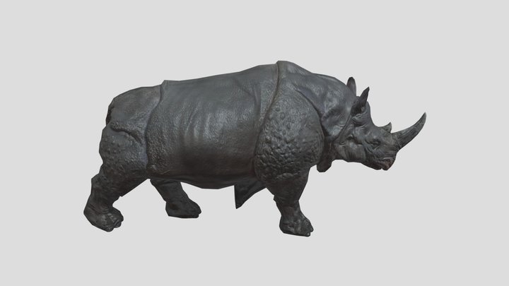 Rhino Animation Walk 3D Model