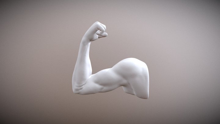 Motion: Flexing 3D Model
