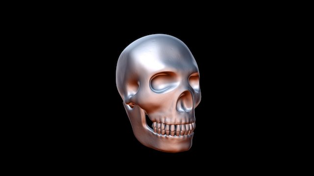 Skull 3D Model