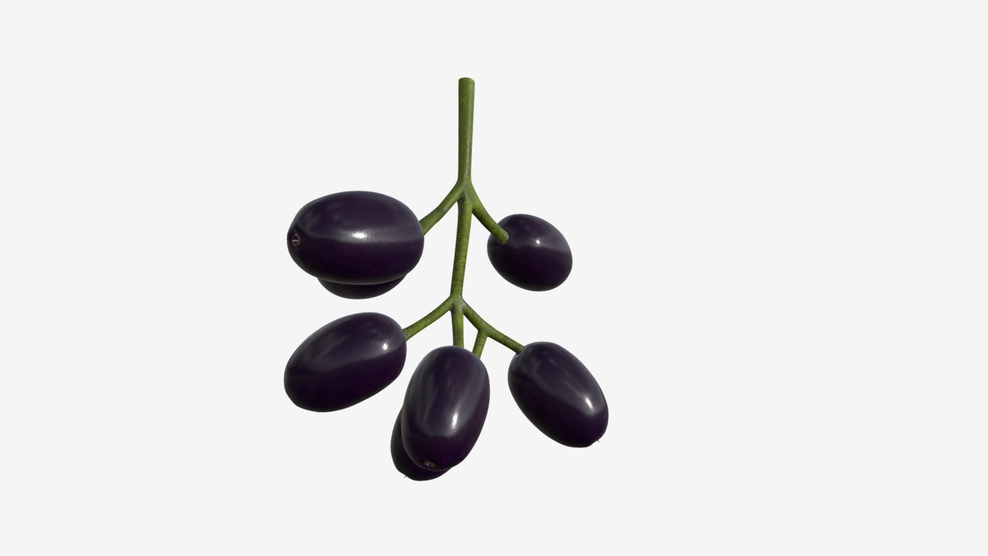 3D model Jambolan plums with stem - This is a 3D model of the Jambolan plums with stem. The 3D model is about a group of black grapes.