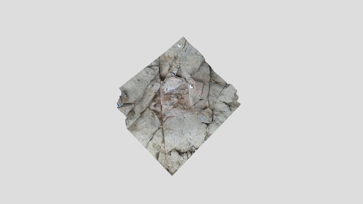 Brymbo Fossil Forest Dig 3D Model
