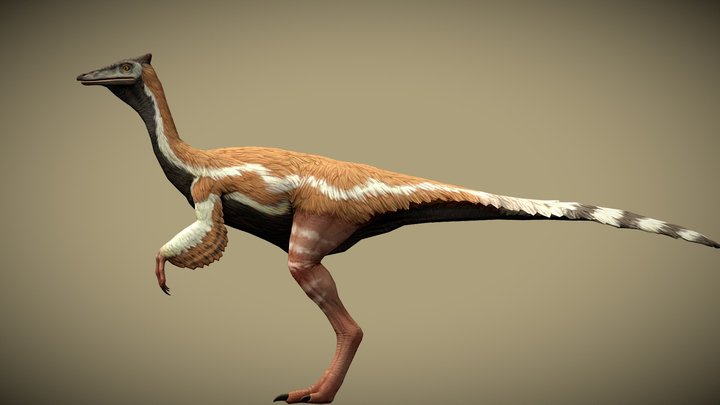 JW: PO Pelecanimimus – Free 3D Model STL