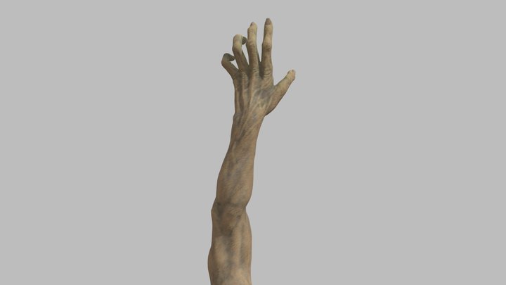 ZOMBIE HAND 3D Model