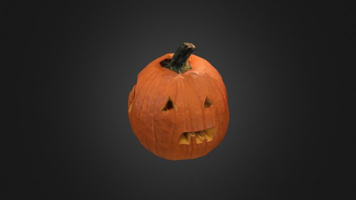 Pumpkin 8 3D Model