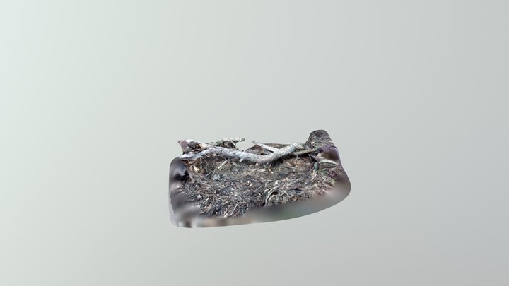 branchground1 3D Model
