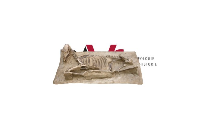 Dierenbegraving Edelhert - Veemarkt, Utrecht 3D Model