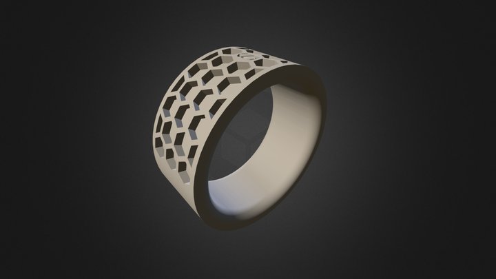 HEXA251 3D Model