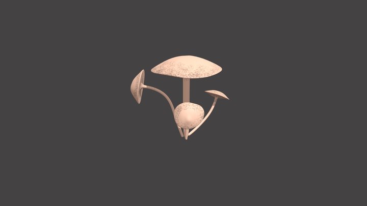Mushroom 3D Model