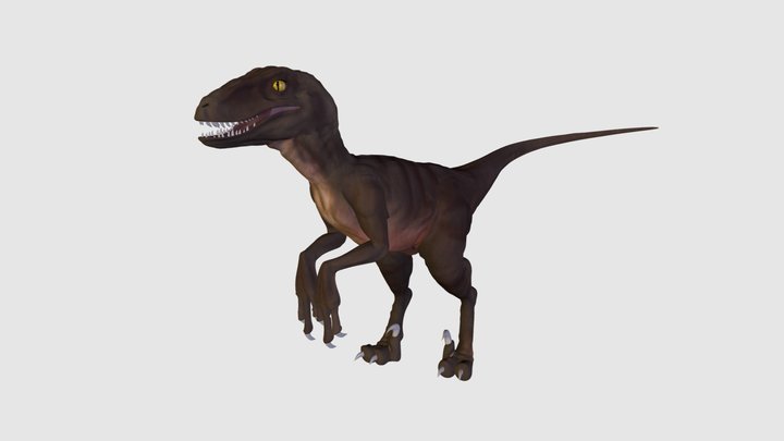 1st Year Raptor 3D Model