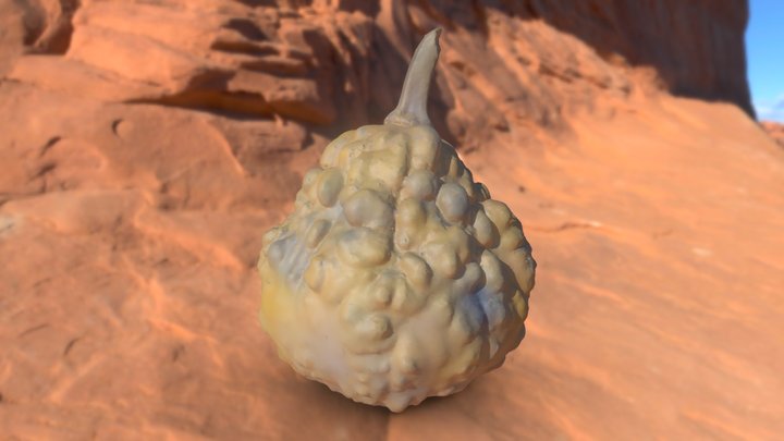 Tiny Pumkin 3D Model