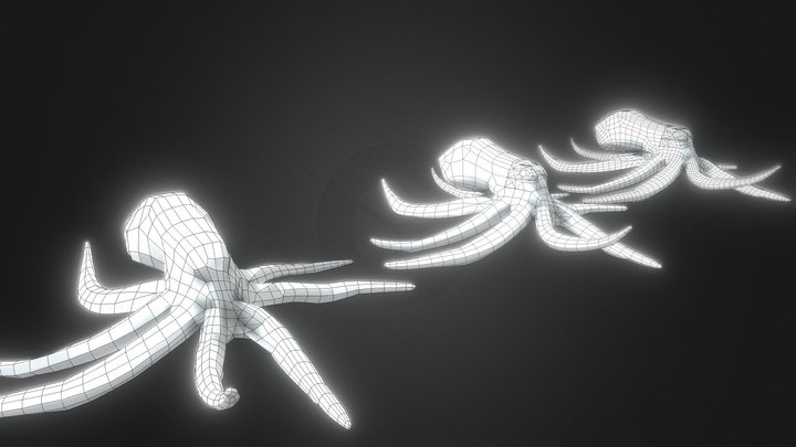 3 Octopus 3D Model
