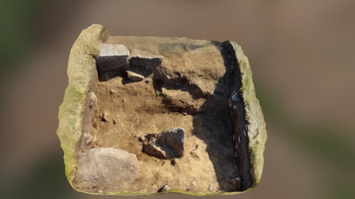 St Neots Digventures 3D Model