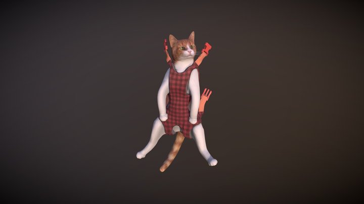 Cat Carrier 3D Model
