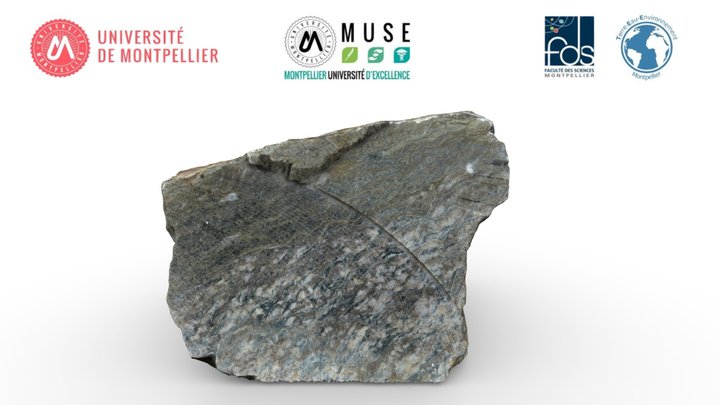 TectoUM - 988 3D Model