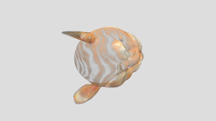 トラの被り物（嘉穂劇場資料） 3D Model